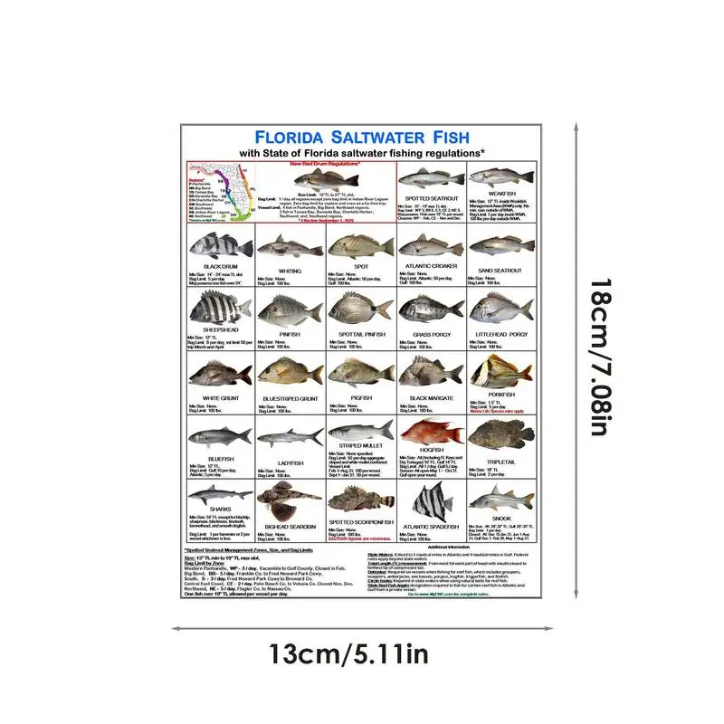 Карта морской рыбы Флориды Магнитная карта с руководством по видам рыб, определяющая Правила использования вод Флориды Карта для любителей рыбалки
