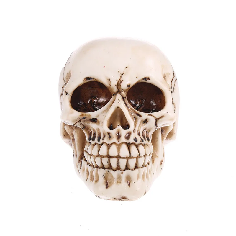 Медицинская модель, модель человеческой головы, реплика из смолы в оформлении Хэллоуина, высококачественные домашние декоративные поделки, череп