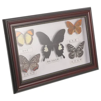Рамка для фотографий с образцами бабочек, рамка для демонстрации образцов бабочек, рамка для фотографий с образцами бабочек для стены